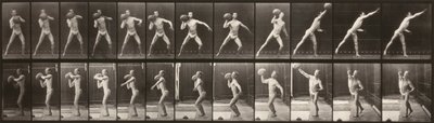 Állatok mozgása (319. tányér) (Ember dob egy labdát) alkotó: Eadweard Muybridge