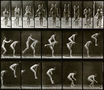 Állati mozgás alkotó: Eadweard Muybridge