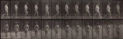 Állatok mozgása, 467. tábla alkotó: Eadweard Muybridge