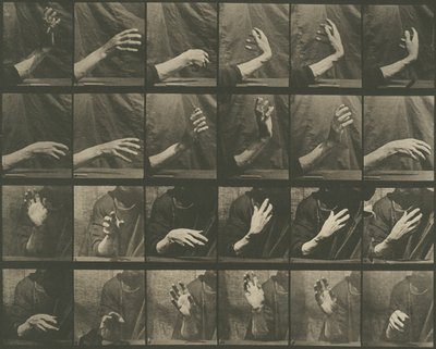 Állatok mozgása, 535. tábla alkotó: Eadweard Muybridge