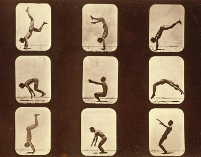 Sportolók. Flip csap „Animal Locomotion” sorozat, 1881 körül (f/w fotó) alkotó: Eadweard Muybridge