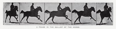Eadweard Muybridge: Egy szakasz a ló vágtában (f/w fotó) alkotó: Eadweard Muybridge
