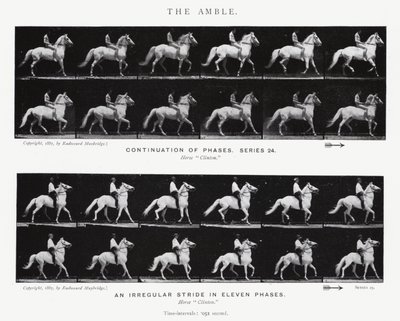 Eadweard Muybridge: The Amble (f/w fotó) alkotó: Eadweard Muybridge