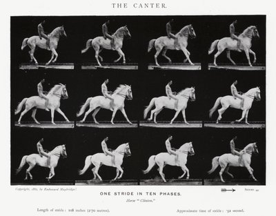 Eadweard Muybridge: The Canter (f/w fotó) alkotó: Eadweard Muybridge