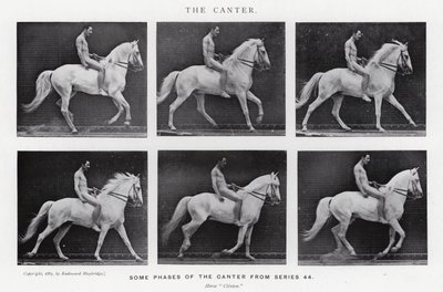 Eadweard Muybridge: The Canter (f/w fotó) alkotó: Eadweard Muybridge
