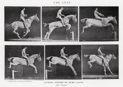 Eadweard Muybridge: Az ugrás (f/w fotó) alkotó: Eadweard Muybridge