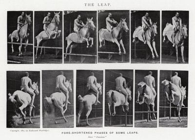 Eadweard Muybridge: Az ugrás (f/w fotó) alkotó: Eadweard Muybridge