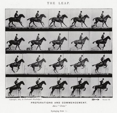 Eadweard Muybridge: Az ugrás (f/w fotó) alkotó: Eadweard Muybridge