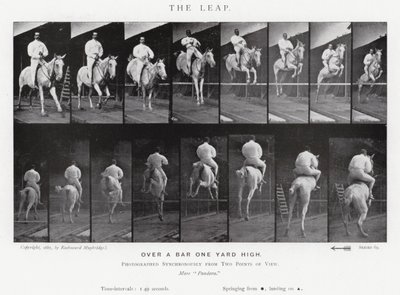 Eadweard Muybridge: Az ugrás (f/w fotó) alkotó: Eadweard Muybridge