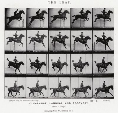 Eadweard Muybridge: Az ugrás (f/w fotó) alkotó: Eadweard Muybridge