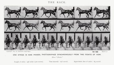 Eadweard Muybridge: The Rack (f/w fotó) alkotó: Eadweard Muybridge