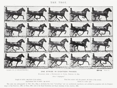 Eadweard Muybridge: Az ügetés (f/w fotó) alkotó: Eadweard Muybridge