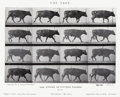 Eadweard Muybridge: Az ügetés (f/w fotó) alkotó: Eadweard Muybridge