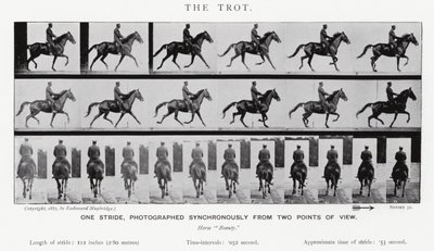 Eadweard Muybridge: Az ügetés (f/w fotó) alkotó: Eadweard Muybridge