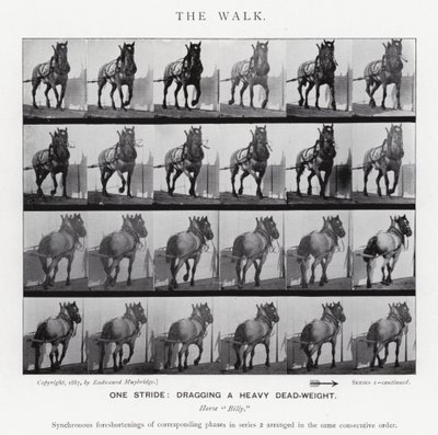 Eadweard Muybridge: The Walk (f/w fotó) alkotó: Eadweard Muybridge