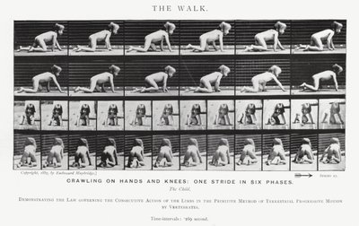 Eadweard Muybridge: The Walk (f/w fotó) alkotó: Eadweard Muybridge