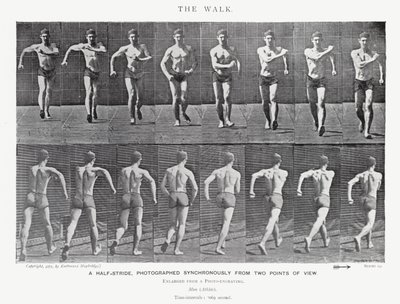 Eadweard Muybridge: The Walk (f/w fotó) alkotó: Eadweard Muybridge