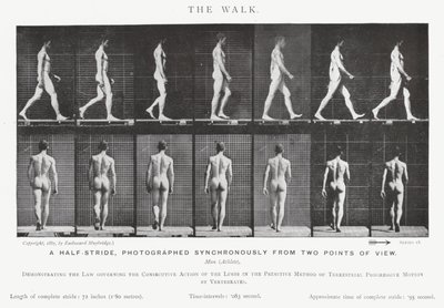 Eadweard Muybridge: The Walk (f/w fotó) alkotó: Eadweard Muybridge