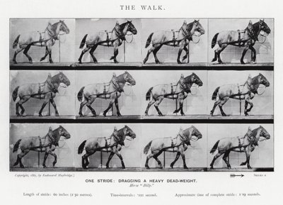 Eadweard Muybridge: A séta alkotó: Eadweard Muybridge