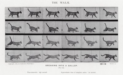 Eadweard Muybridge: A séta alkotó: Eadweard Muybridge