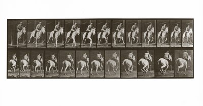 Vágtázó ló lovassal, 635-ös tábla az Animal Locomotion-tól, 1887 alkotó: Eadweard Muybridge