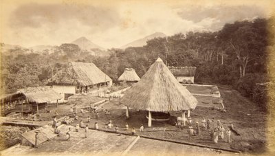 Hacienda William Nelson, San Isidro, Guatemala alkotó: Eadweard Muybridge