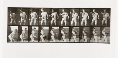 Súlyzót emelő ember, 324-es tábla az Animal Locomotion-tól, 1887 alkotó: Eadweard Muybridge