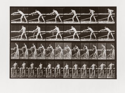 Fát gyaluló ember, 379-es tábla az Animal Locomotion-tól, 1887 alkotó: Eadweard Muybridge