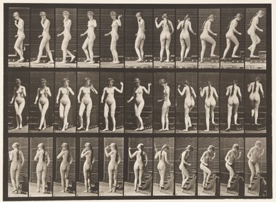 101. tábla. Forduló és felszálló lépcsők, integető kéz, 1872-1885 alkotó: Eadweard Muybridge