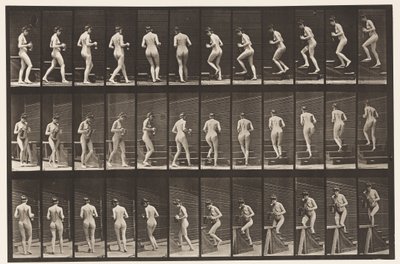 103. tábla. Forduló és felszálló lépcsők, kancsó és serleg a kezében, 1872-1885 alkotó: Eadweard Muybridge