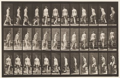 104. tábla. Forduló és felszálló lépcsők, vödör víz mindkét kézben, 1872-1885 alkotó: Eadweard Muybridge