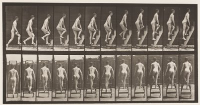 109. tábla Emelkedő létra, 1872-1885 alkotó: Eadweard Muybridge