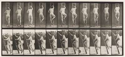 111. tábla. Emelkedő létra alkotó: Eadweard Muybridge