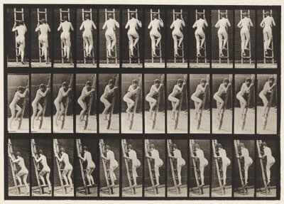 112. tábla. Emelkedő létra alkotó: Eadweard Muybridge