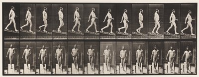 113. tábla. Csökkenő lejtő, 1 a 4-hez, 1872-1885 alkotó: Eadweard Muybridge