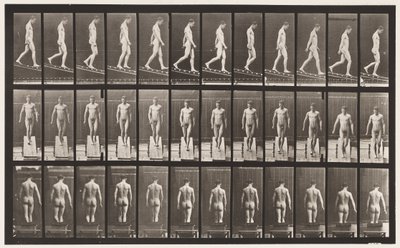 114. tábla. Csökkenő dőlésszög, 1 in 4, 1872-1885 alkotó: Eadweard Muybridge
