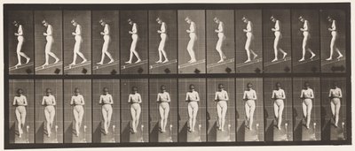 115. tábla. Lejtő lejtőn, elöl összekulcsolt kézzel alkotó: Eadweard Muybridge