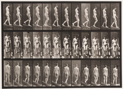 117. tábla. Lejtő lejtő, 1872-1885 alkotó: Eadweard Muybridge