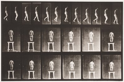 118. tábla. Csökkenő lejtő alkotó: Eadweard Muybridge