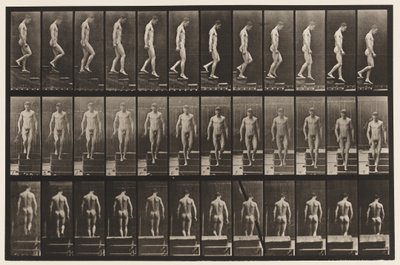 125. tábla. Lemenő lépcsők alkotó: Eadweard Muybridge