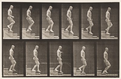 126. tábla. Lemenő lépcsők alkotó: Eadweard Muybridge