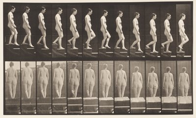 129. tábla. Lemenő lépcsők, összekulcsolt kézzel alkotó: Eadweard Muybridge