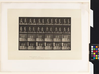 12. tányér.Séta alkotó: Eadweard Muybridge