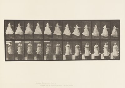 134. tábla. Lefelé tartó lépcső, medencével a kezében alkotó: Eadweard Muybridge