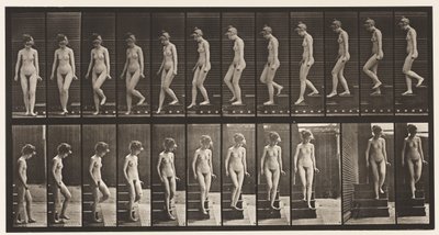 137. tábla. Lemenő lépcsők, megfordulás alkotó: Eadweard Muybridge