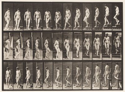 138. tábla. Lefelé tartó lépcsőforduló; Kancsó bal kézben alkotó: Eadweard Muybridge