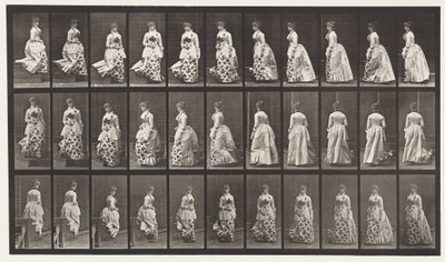 139. tábla. Lefelé forduló lépcsőforduló, 1885 alkotó: Eadweard Muybridge