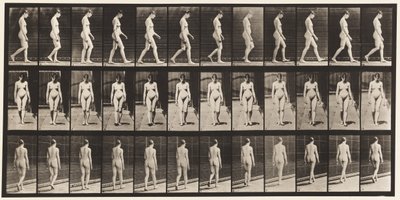 13. tábla Séta, 1872-1885 alkotó: Eadweard Muybridge