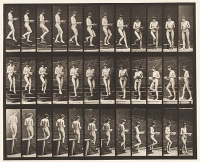 144. tábla. Leszálló lépcsők; Eszterga medence a kezében alkotó: Eadweard Muybridge