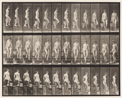 145. tábla. Leszálló lépcsők; Vödör víz forgatása jobb kézben, 1872-1885 alkotó: Eadweard Muybridge